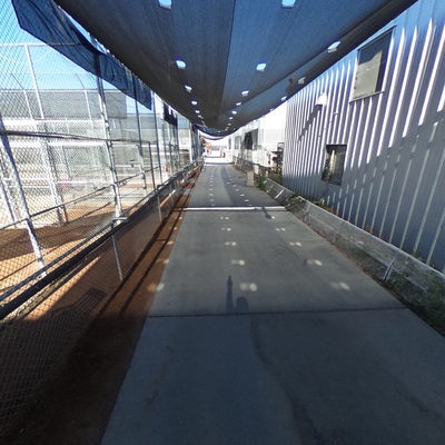 Ozzie the Painting Giraffe