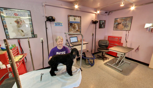 Las Vegas Professional Pet Room & Groom in Boulder City Nevada, with an opened entrance door to their pet boarding service area
