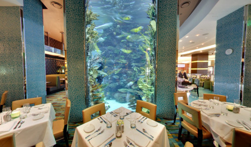 Huge aquarium in the dining area of Chart House - high-end seafood restaurant in Las Vegas
